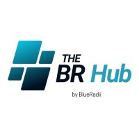 TheBRHub logo - Similar company to Novus Technology Integration, Inc.
