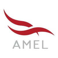AMEL (Aviation and Marine Engineering) logo - Similar company to Swift Technology Group