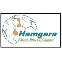 Hamgara (Synergy of converting Technologies) logo - Similar company to Milton Keynes Tech Week