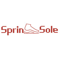 SprinSole logo - Similar company to Sprinsoft