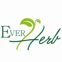 EVERHERB FOR IMPORT & EXPORT logo - Similar company to El.Shahd For Import And Export