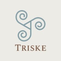 Triske Danışmanlık logo - Similar company to Yi̇da Eği̇ti̇m Danişmanlik
