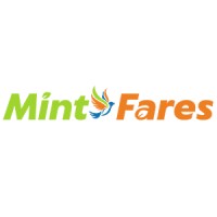 MintFares logo - Similar company to Nettonics