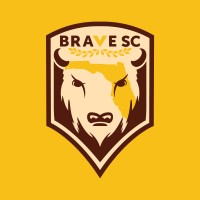 Brave SC logo - Similar company to Copa Do Milhão