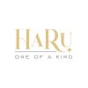 HaRu Decor logo - Similar company to Soch 3D