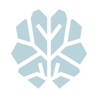HLAVA advisory logo - Similar company to Human1St