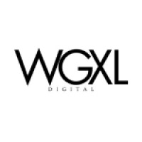 WiseGuyXL logo - Similar company to Beta Burst Solution Pvt Ltd