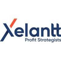 Xelantt Profit Strategists logo - Similar company to Exitsystems™