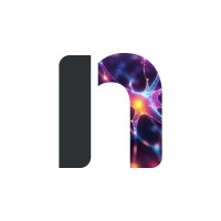 Netiro logo - Similar company to Virdis Group