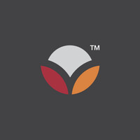Dotvita, Inc. logo - Similar company to Magnt