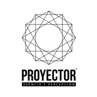 Proyector Agencia de Imagen Pública logo - Similar company to Rivero-Quirino | Incidencia Pública