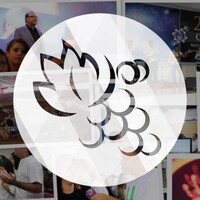 Igreja Videira logo - Similar company to Comunidade Cristã Videira