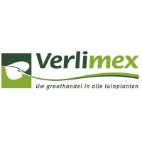 Verlimex B.V. logo - Similar company to Green-One