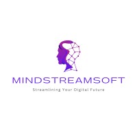 MindStreamSoft logo - Similar company to Friends Electronics