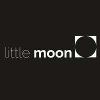 littlemoon.studio logo - Similar company to Class A Team Uk