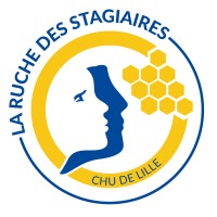La Ruche Des Stagiaires - Chu De Lille