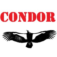 Condor logo - Similar company to K-Consulting