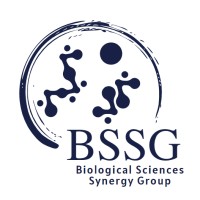BSSG logo - Similar company to Int-N.Info