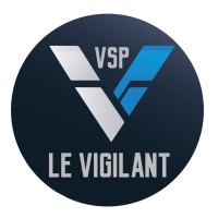 LE VIGILANT SECURITE PRIVEE logo - Similar company to Diamond Protect