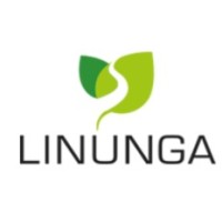 Linunga Strategie GmbH & Co. KG logo - Similar company to Hemmelmann Consulting