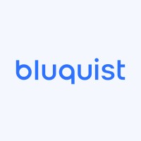bluquist logo - Similar company to Dimi Saas