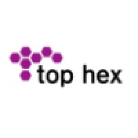 Top Hex Ltd logo - Similar company to Rheality Ltd