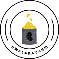Nwalakayanm logo - Similar company to Devfundme