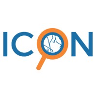 International Consulting Network - ICON logo - Similar company to Fea International