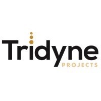 Tridyne Projects Corporation logo - Similar company to Hoff Engineering