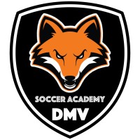 DMV Soccer Academy logo - Similar company to Evolution Soccer Academy