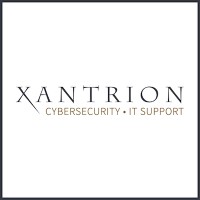 Xantrion logo - Similar company to Endsight