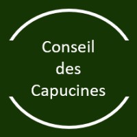 Conseil des Capucines logo - Similar company to Logpartner