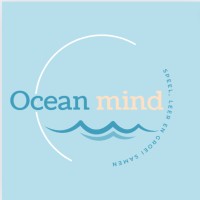 Ocean mind logo - Similar company to Digilab Flevoland - Digitalisering
