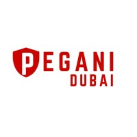 Pegani Dubai logo - Similar company to Dnr Electro