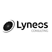 Lyneos Télécom logo - Similar company to Dse Telecom