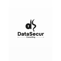 DataSecur Consulting logo - Similar company to Ipdcp Togo