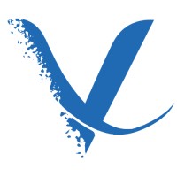 Vintage Solutions logo - Similar company to Mmt Soft Tech