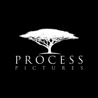 Process Pictures, Llc