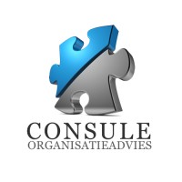 Consule logo - Similar company to Grupo Consule