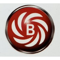 Bilview Energy Limited logo - Similar company to Dimplat Tech