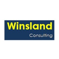 Winsland Ltd logo - Similar company to Across Safety Development Ltd