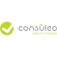 Consuleo S.r.l. logo - Similar company to Green 2030 S.R.L.