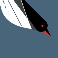 First Penguin Capital logo - Similar company to Sidney St.