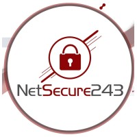 NetSecure243 logo - Similar company to Pimacle Drc
