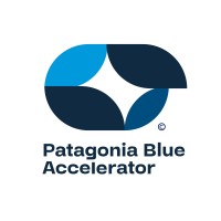 Patagonia Blue Accelerator logo - Similar company to Camad