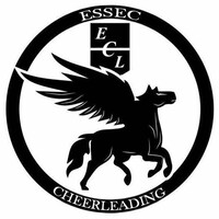 ESSEC Cheerleading logo - Similar company to Bba Essec&Co'M