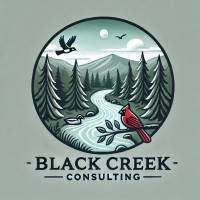 Black Creek Consulting LLC logo - Similar company to Dsd Media