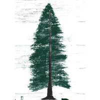 Redwood Circle Ventures LLC logo - Similar company to Teqnavi