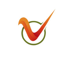 VANISHRI CONSULTANCY LLP logo - Similar company to Samson Consultancy
