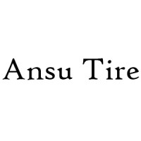 ANSU AMERICA INC logo - Similar company to Btx Online